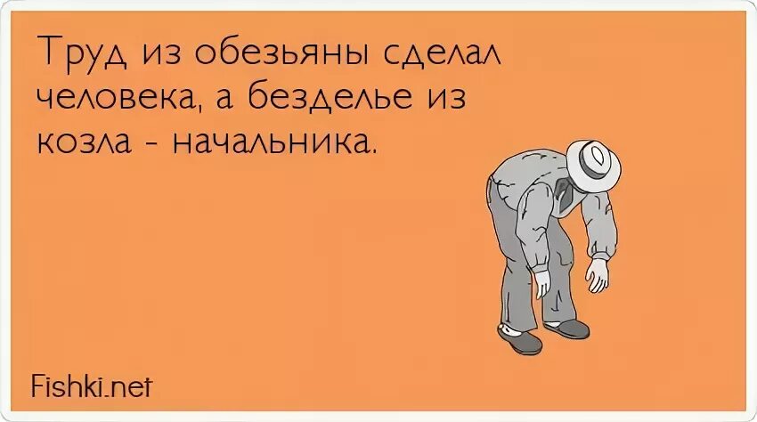 Начальник придурок. Руководитель прикол. Начальник придурок. Директор придурок. Цитаты про идиотов.