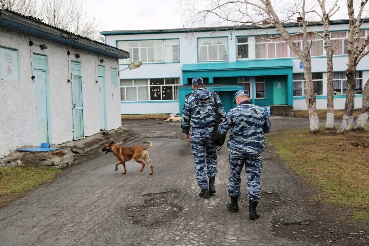 Минирование школ. Заминировали школу. Сообщение о минировании школ сегодня. Камчатка в школе. Школа заминирована новости