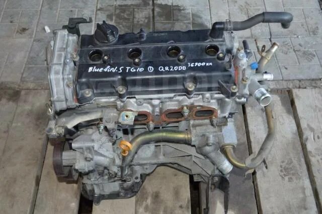 Bluebird sylphy qr20dd. Nissan bluebird sylphy tg10. qr20dd двигатель. nissan bluebird sylphy qr20dd. тнвд на ниссан блюберд силфи 2003 двигатель qr20dd.