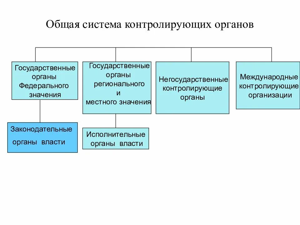 Данные в государственные органы необходимые. Система контролирующих органов РФ. Схема система контролирующих органов и организаций в РФ. Система органов контроля в РФ. Государственные контролирующие органы.