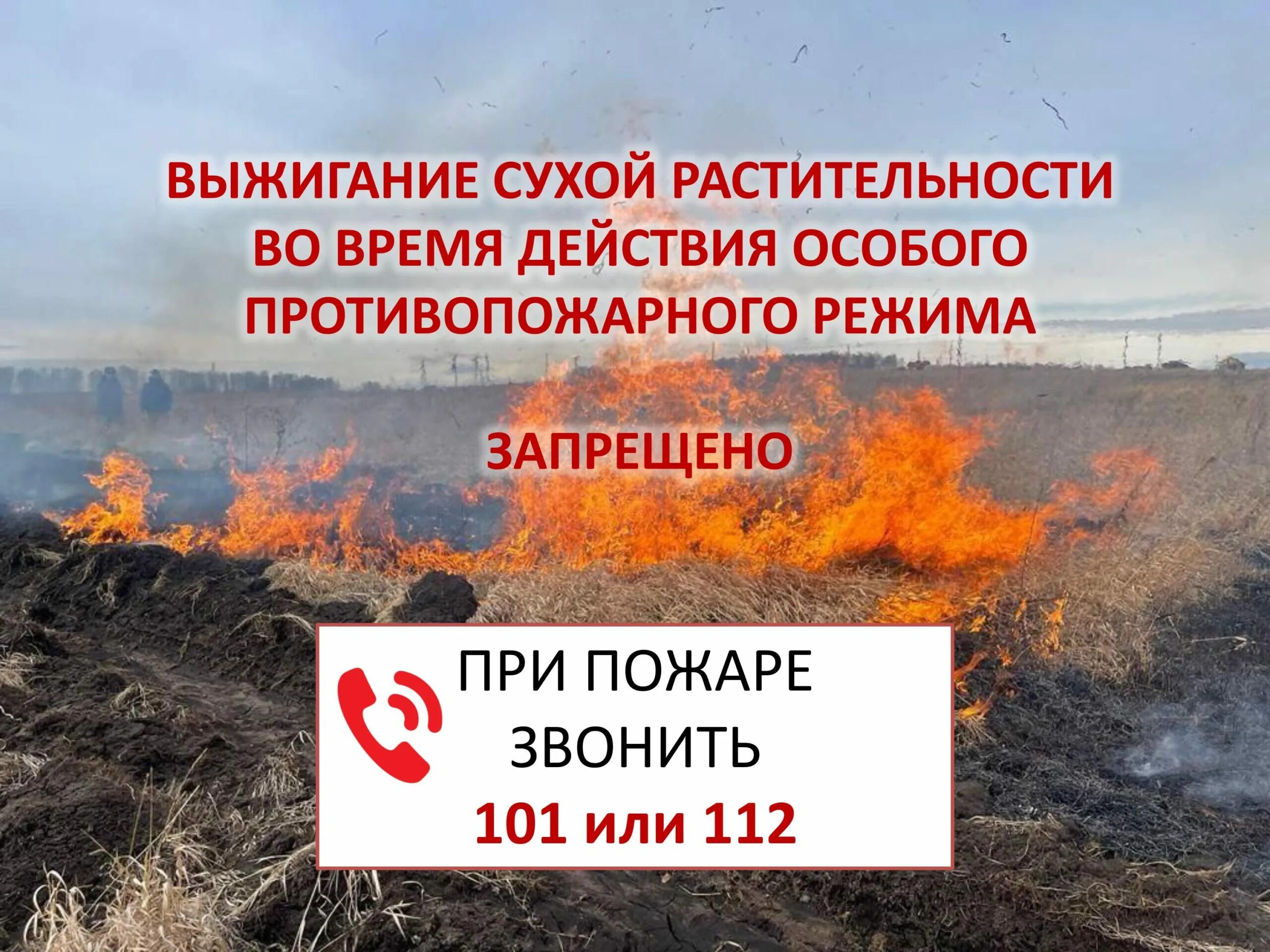 Об установлении особого противопожарного режима 2025. Особый противопожарный режим. введение особого противопожарного режима. памятка особый противопожарный режим. введен особый противопожарный режим.