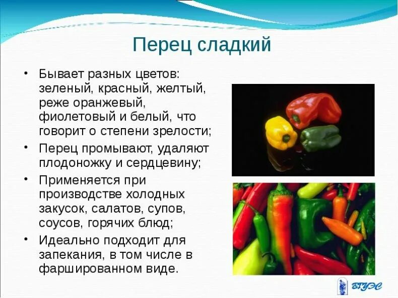 История перцев