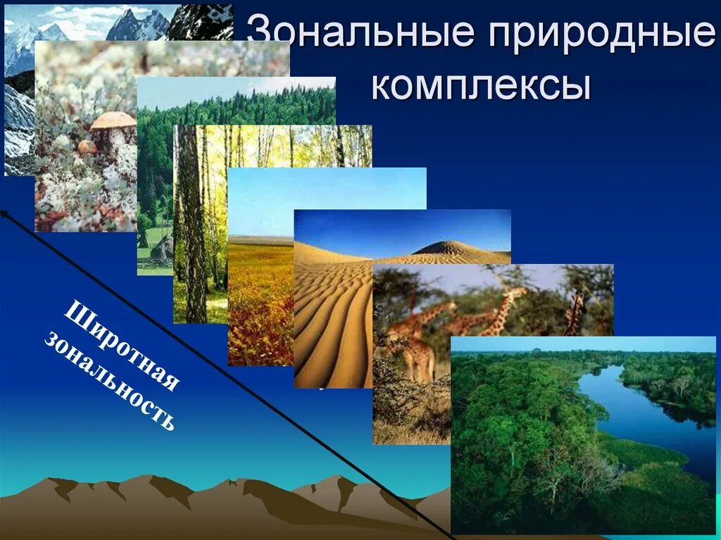 Природные комплексы в порядке увеличения. Зональные природные комплексы. Примеры природных комплексов. Природные комплексы земли зональные. Разнообразие природных комплексов.