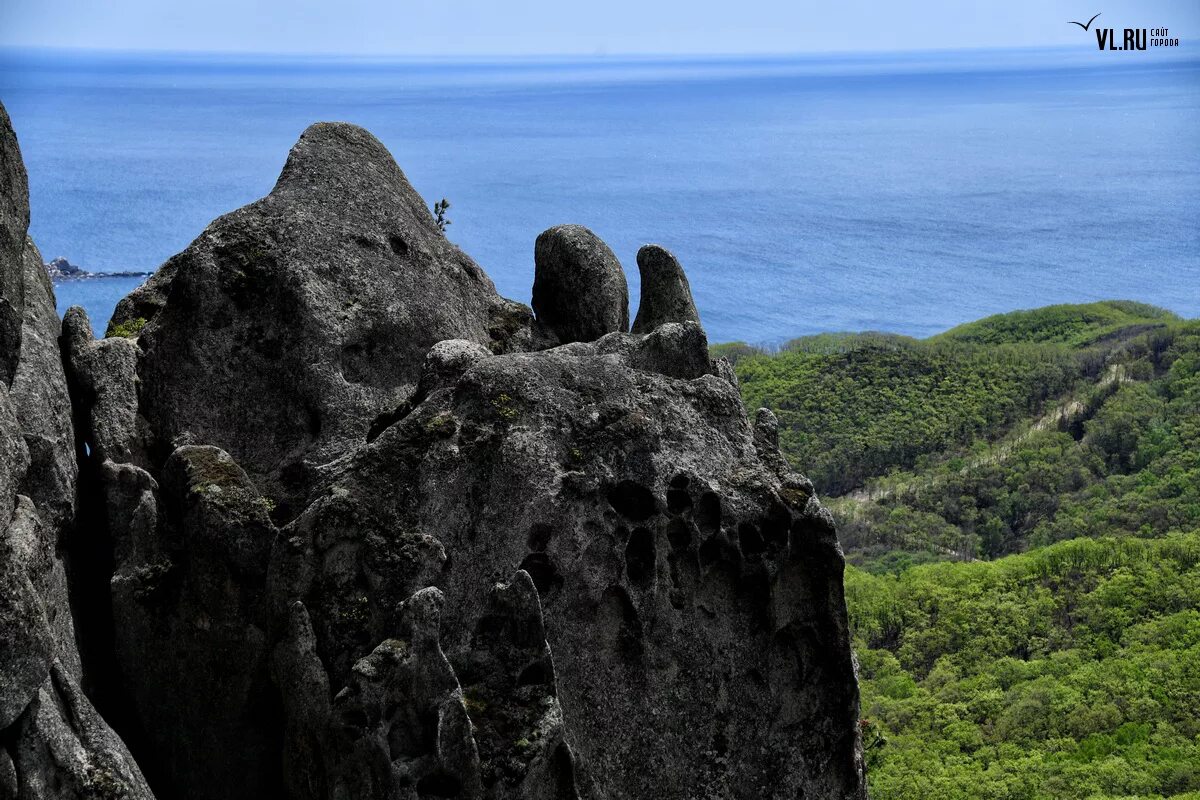 примория. примория. долина атлантов врангель. поселок славянка хасанский район приморский край. славянка приморский край море.