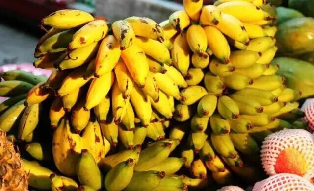 китайский банан. китайские бананы. гроздь бананов. бананы в китае. китайские бананы.