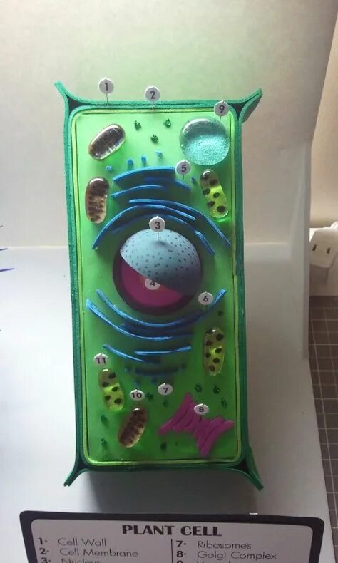 Cell project