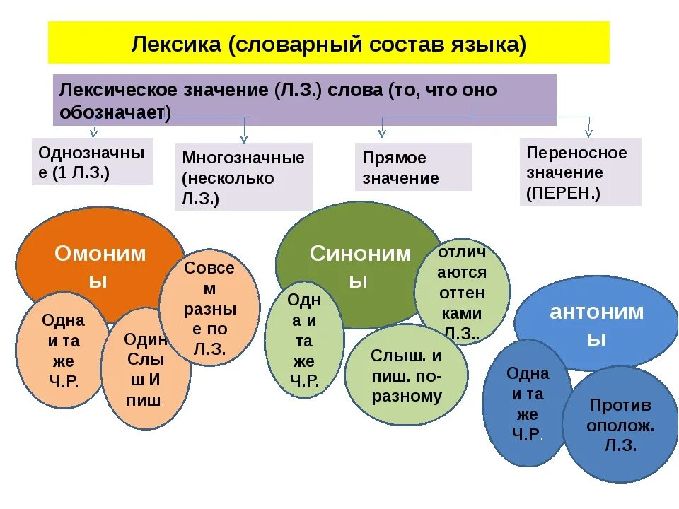 Многообразие русского языка. Группы слов в лексике. Состав лексики русского языка. Разделы лексики таблица. Таблица по лексике русского языка.