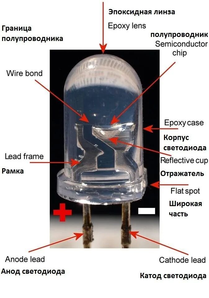 Где у диода. Полярность светодиодов в лампе. Катод на светодиоде SMD. Светодиод полярность подключения. Как понять полярность светодиода.