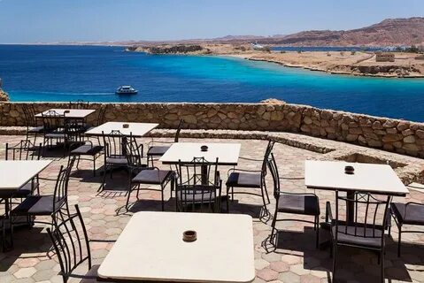 Albatros sharm ex beach 4 отзывы