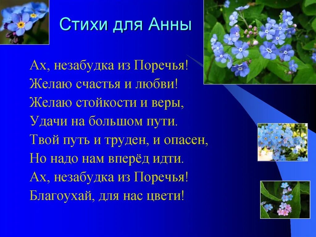 Незабудка рассказ. Стихотворение про незабудку. Стихи про незабудки. Сообщение о незабудке. Легенда о незабудке для детей.