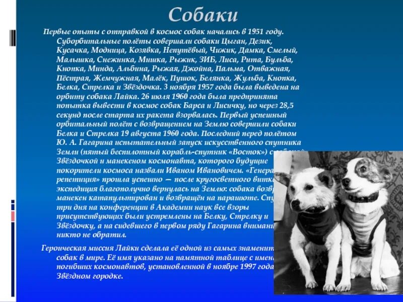 Кто первый полетел в космос животные. Первые животные в космосе. Первые собаки в космосе. Клички первых собак полетевших в космос. Собаки летали в космос.