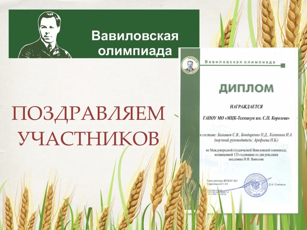 Мцк техникум им с. П. Мцк сп королева. П. Сухое строительство и штукатурные работы абилимпикс.