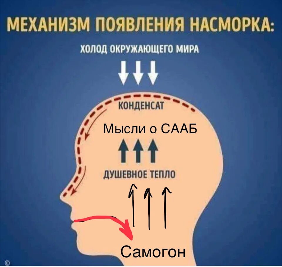 Из за чего появляется насморк. Механизм появления соплей. механизм появления насморка. механизм образования соплей. душевное тепло конденсат.