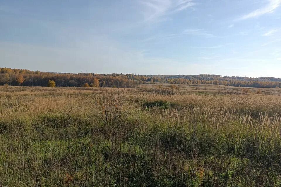 Деревня четверть владимирская область. Дпк княжеская слобода. Александровский участки. Елькино. Деревня елькино александровский район владимирская область.