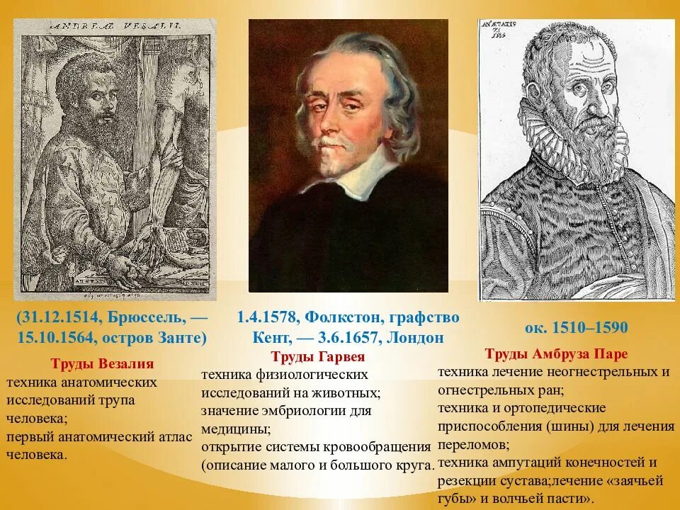 Основные этапы развития хирургии. Основные взгляды гарвея. вклад а. паре в развитие хирургии. презентация по истории.