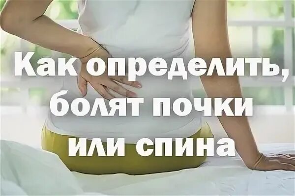 Боли почек как определить симптомы. Как определить что болят почки. как понять что колят почки. болят почки или спина как определить. как понять почки болят или.