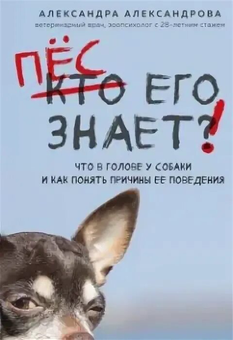 Пеннак даниэль "собака пес". Мой пес. Мой пес книга. Мой пес книга. Мой пёс бинго.