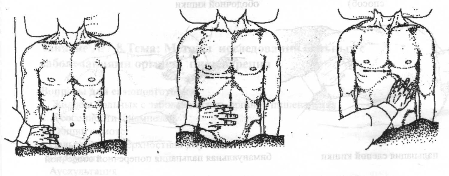 Методика определения размеров печени по курлову. Перкуссия печени границы. Перкуссию границ печени по курлову ребенку 5 лет. Пальпация и перкуссия печени по курлову. Перкуссия печени по курлову методика.