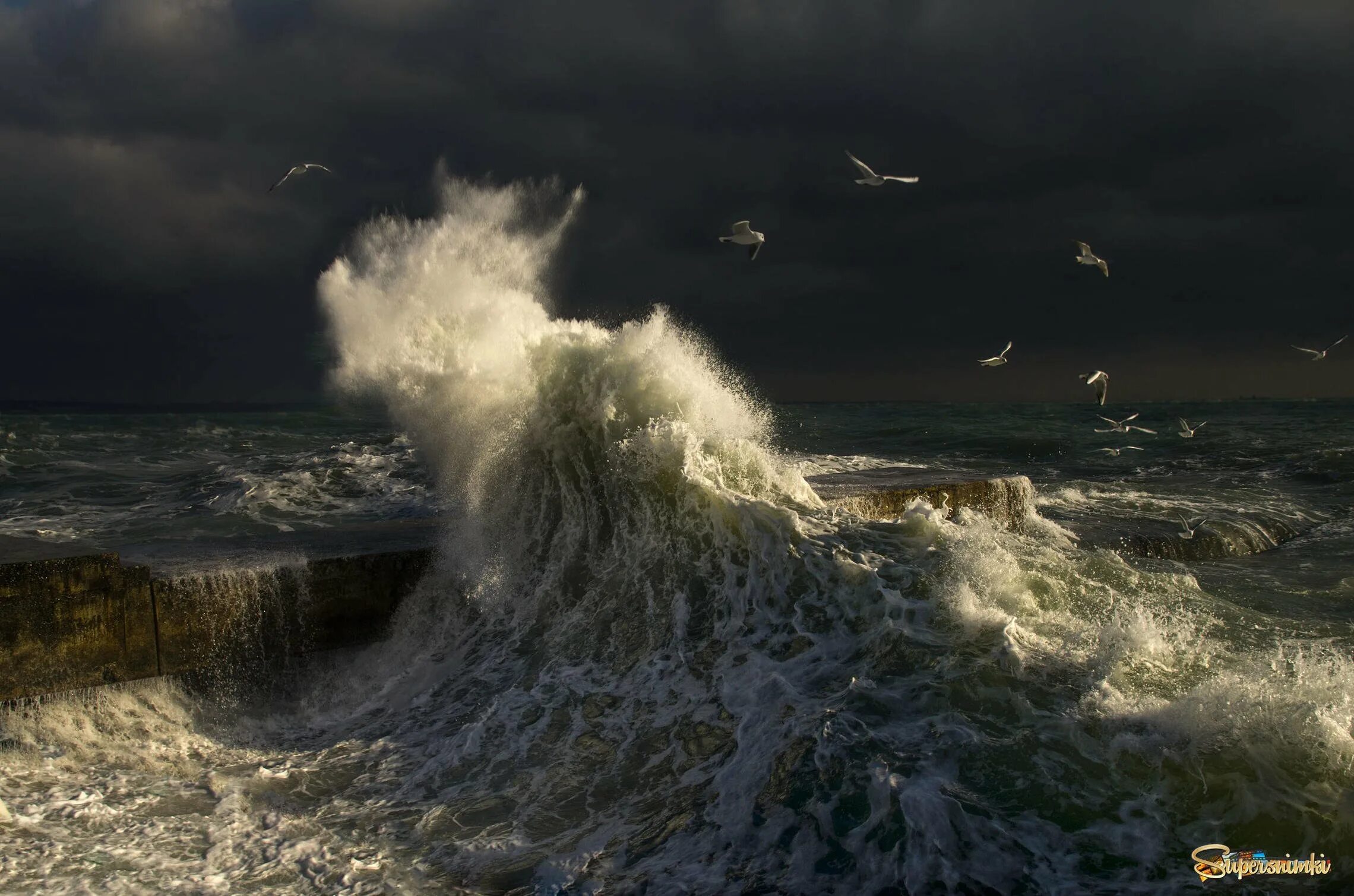 буря на море. волны гонют его. хмурое небо и море. тихий океан шторм. ветер гони волну.