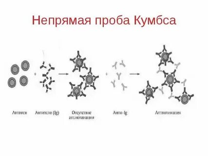 Реакция кумбса это