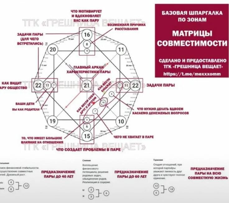 Матрица совместимости женская линия