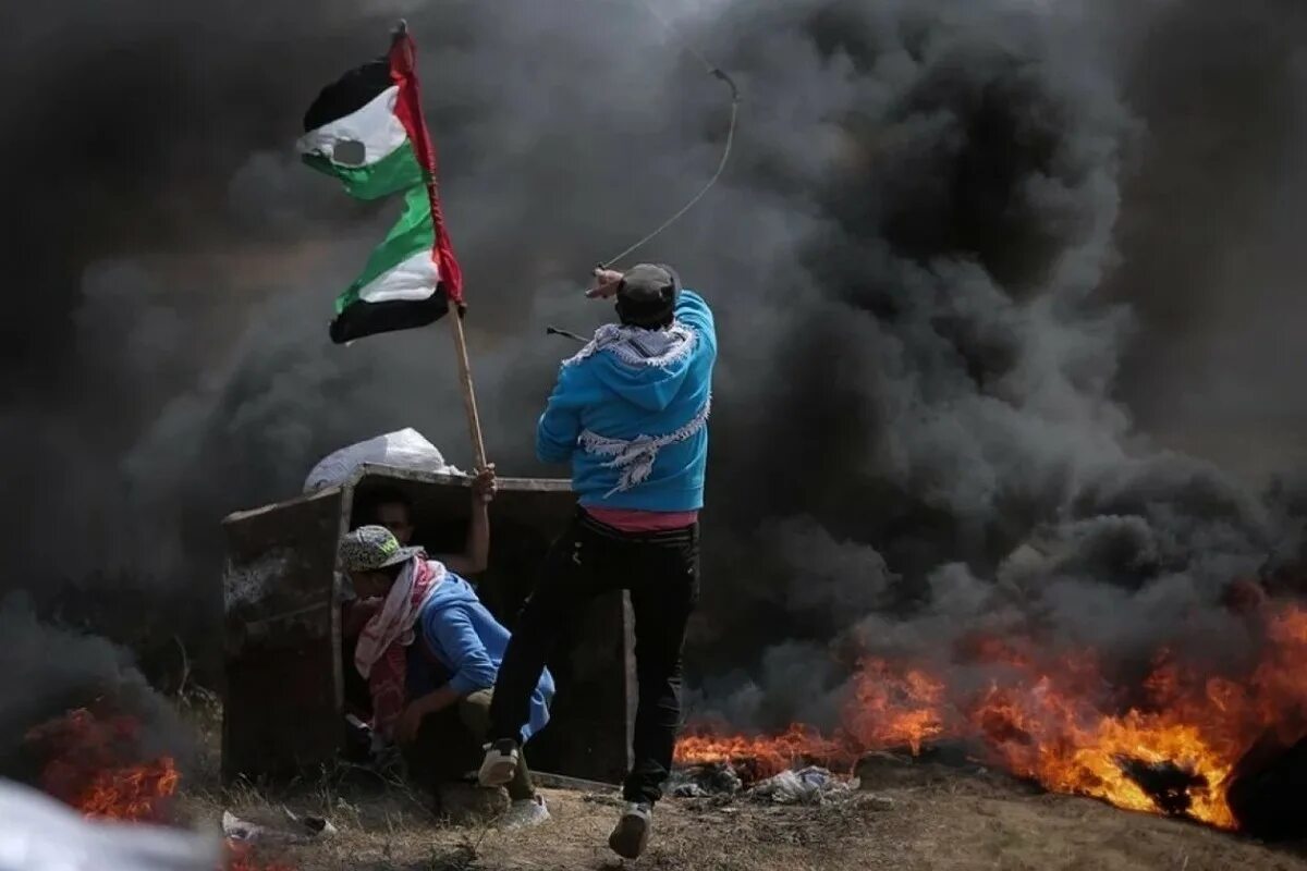 Сектор газа Палестина ХАМАС.