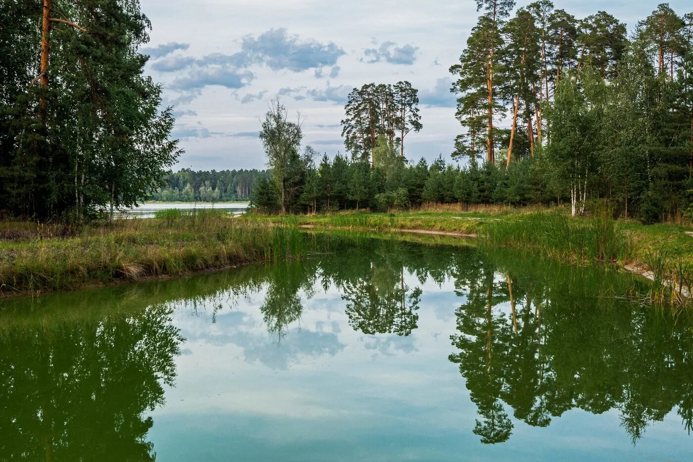 Светлые озера фролищи. Лебяжье озеро воскресенский. Лебяжье озеро дубна. Лебяжье озеро воскресенский. Озеро светлое казань.