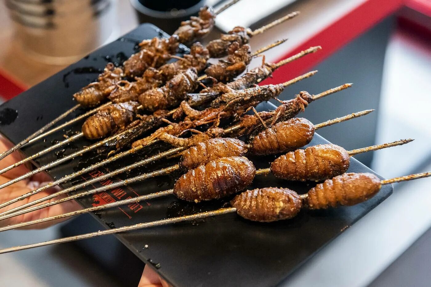 Skewers. Жареные насекомые. жареные насекомые в китае. chinese bbq. bbq skewers.