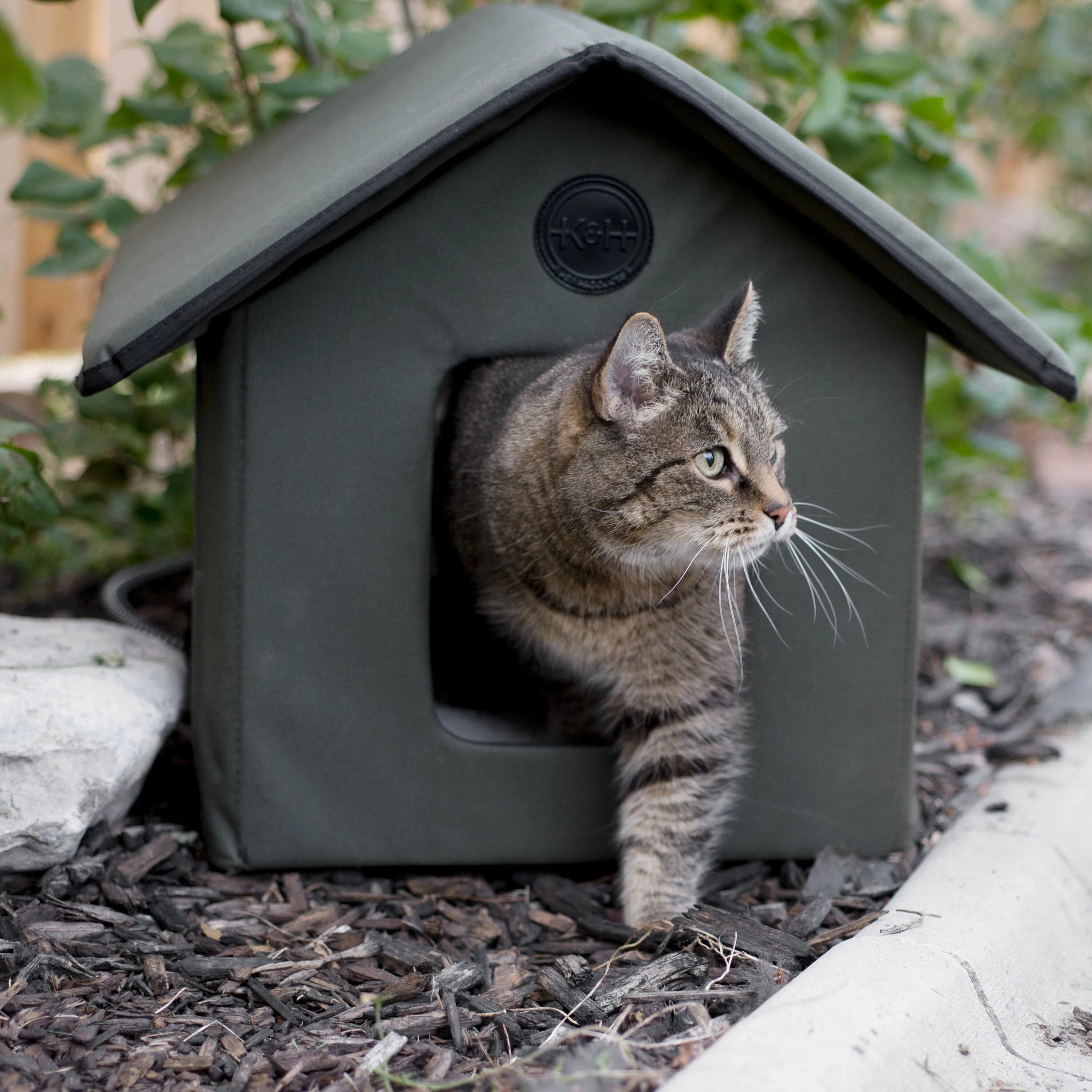 Домик для кота. Уличный кошачий домик. Домик для котиков уличный. Коты в домике. Кошки дома картинки