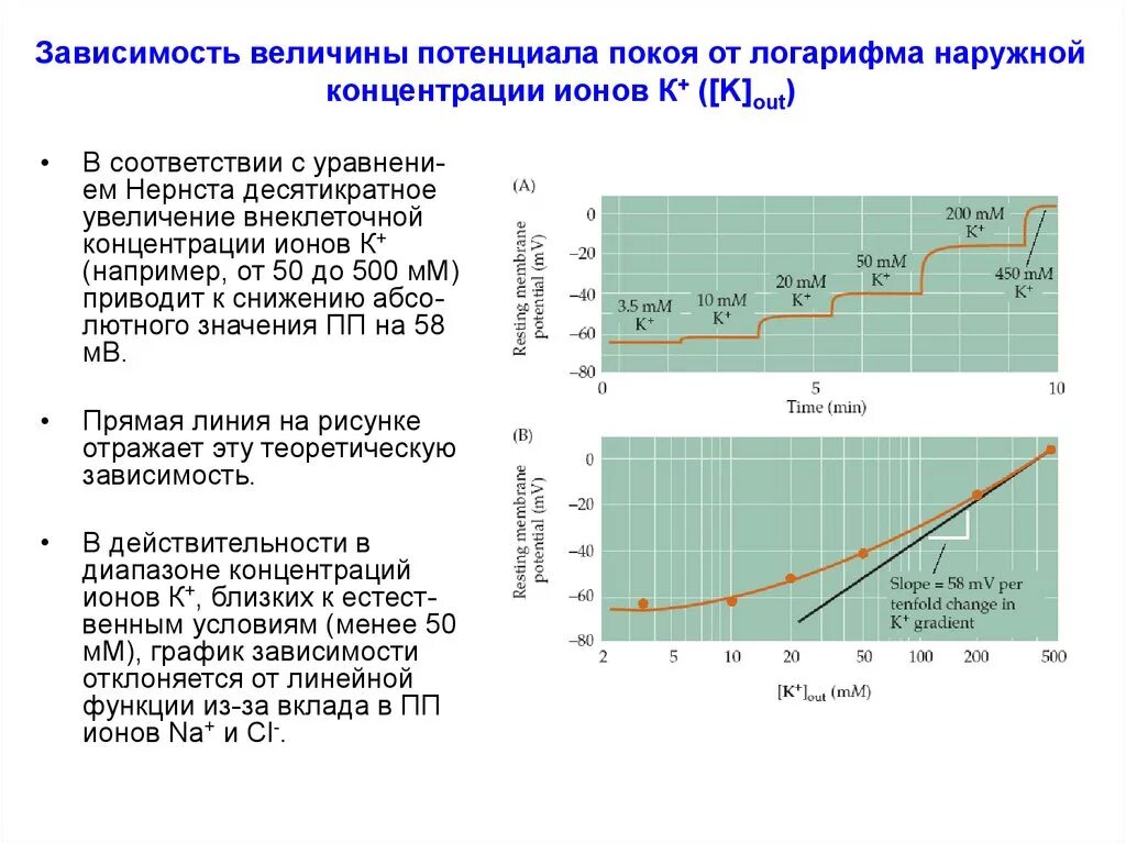 Зависимость PH от логарифма концентрации. Зависимость потенциала от логарифма концентрации. Зависимость потенциала покоя от концентрации. Зависимость Дзета потенциала от концентрации. Величина отражающая уровень