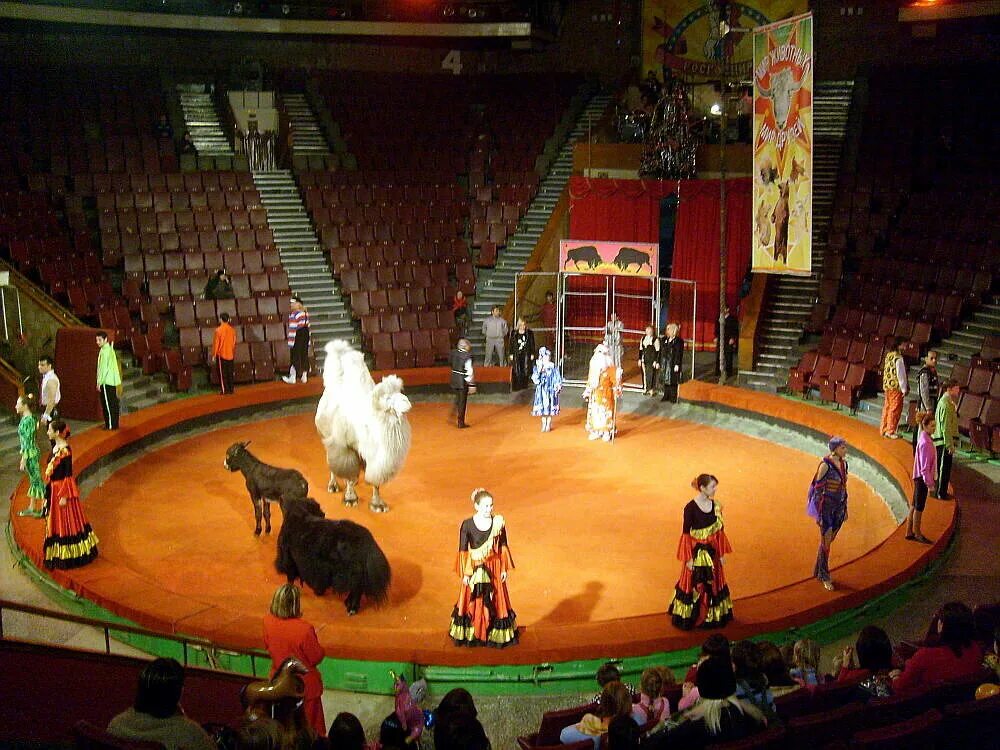 цирк омский государственный цирк. достопримечательности омска цирк. омский государственный цирк. омский государственный цирк. город омск цирк.