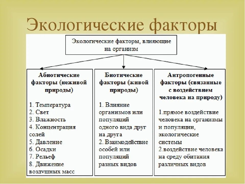 Влияния различных факторов представлена. Экологические факторы организм биотические абиотические. виды экологических факторов. абиотический фактор это в экологии. экологические факторы классификация абиотические факторы.