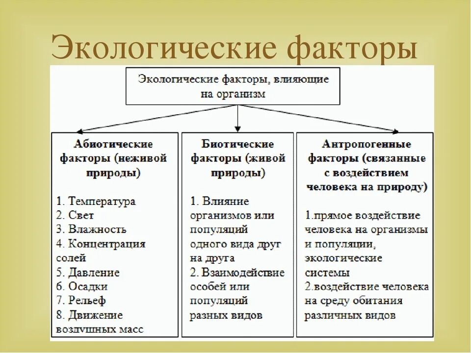 Экологические факторы организм биотические абиотические. Виды экологических факторов. Абиотический фактор это в экологии. Экологические факторы классификация абиотические факторы.