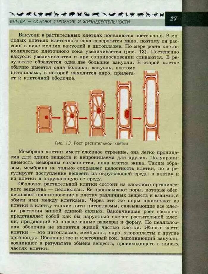 Биология 6 класс старый учебник. Пасечник Суматохин Калинова учебник. Биология 6 класс учебник читать. Биология 6 класс книга читать. Пасечник 8 класс 2023 учебник читать