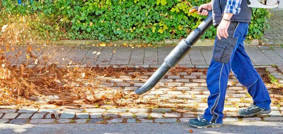 Clean leaf