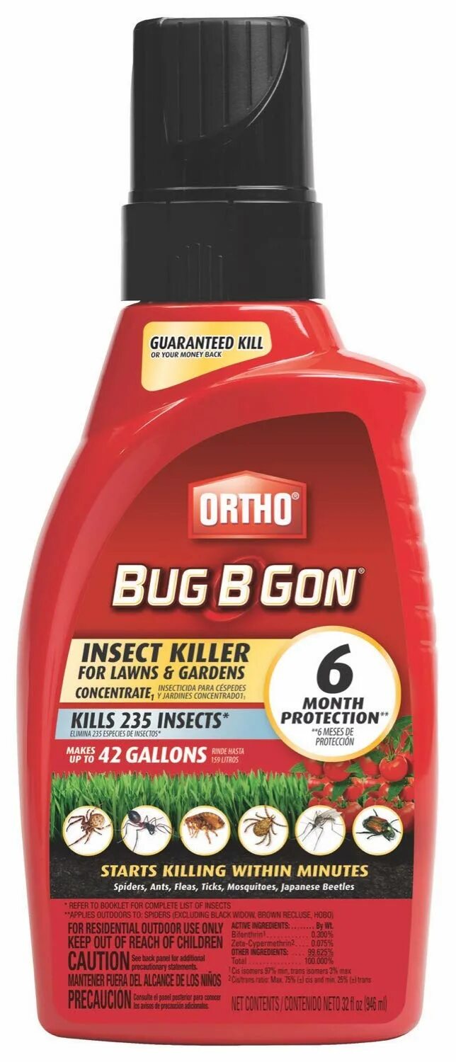 B bug. B bug