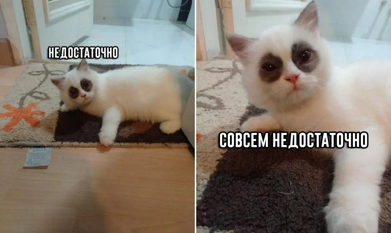 Всем пока. Всем пока пока. Мемы с выборами. Смешное пока. Мемы с метью макконахи.