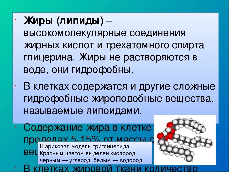 Жиры это простыми словами. Строение жиров. Жиры биология. Строение простых липидов. Жиры строение и функции.