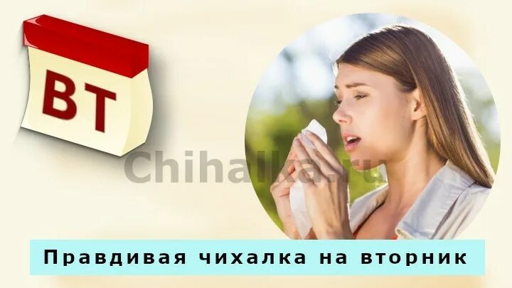 Чихалка автовестник. Чихание. Чихалка для девочек по дням недели. Чихалка автовестник. Чихнуть в понедельник по времени примета.