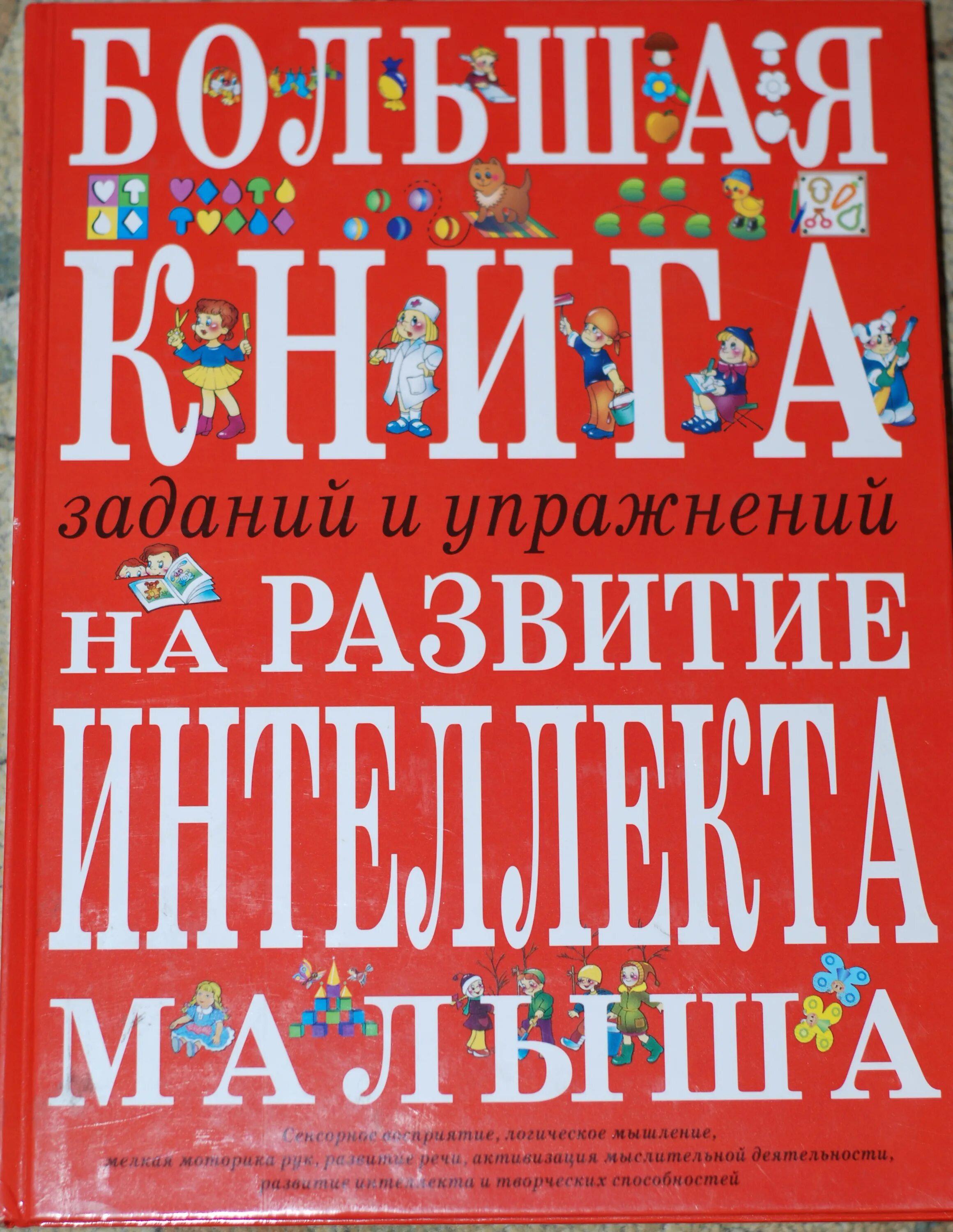 большая книга заданий и упражнений на развитие интеллекта. большая книга на развитие мелкой моторики т. узорова большая книга для подготовки к школе. большая книга заданий. светлова большая книга заданий и упражнений на развитие интеллекта.