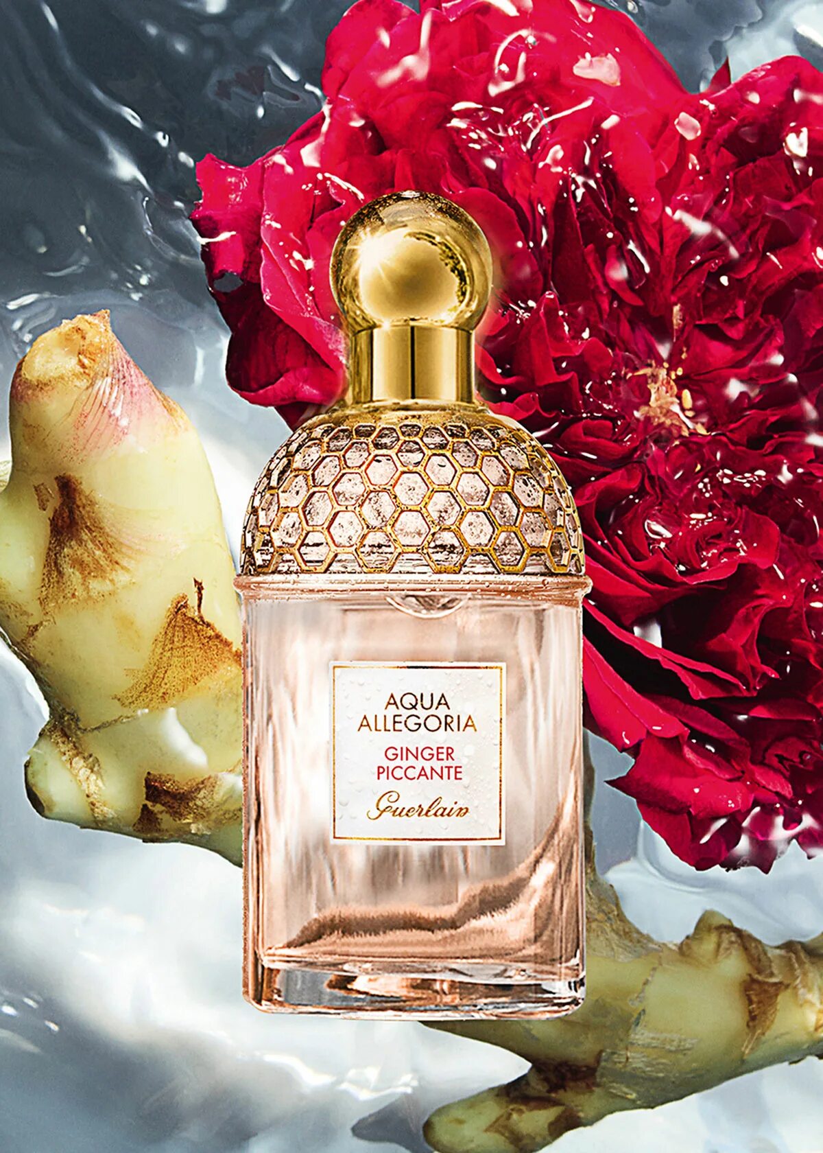 Духи ginger. Туалетная вода guerlain aqua allegoria ginger piccante. Духи имбирь. Герлен аква аллегория вся линейка. Духи ginger.