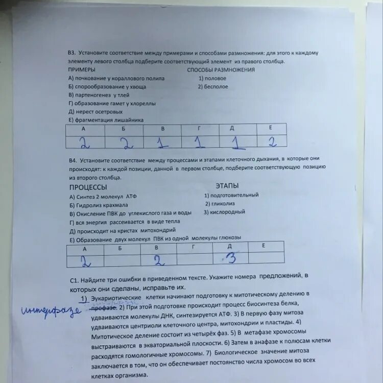 Впишите перечисленные примеры экономической деятельности. Установите соответствие между примерами экономической деятельности. Установите соответствие между примерами и видами эконо. Установите соответствие между примерами и экономическими продуктами. Установите соответствие между примерами и их значениям.