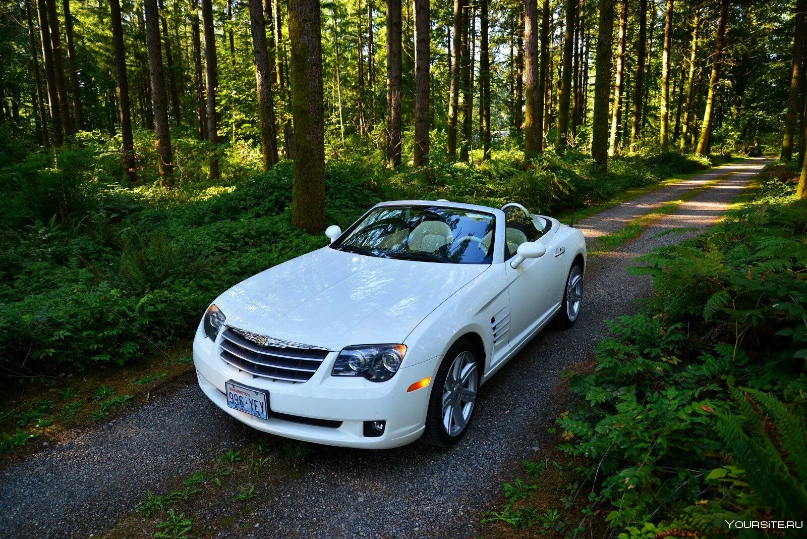 Капот в лесу. Chrysler Crossfire srt-6. Chrysler Crossfire кабриолет. Chrysler Crossfire 2005. Chrysler Crossfire белый.