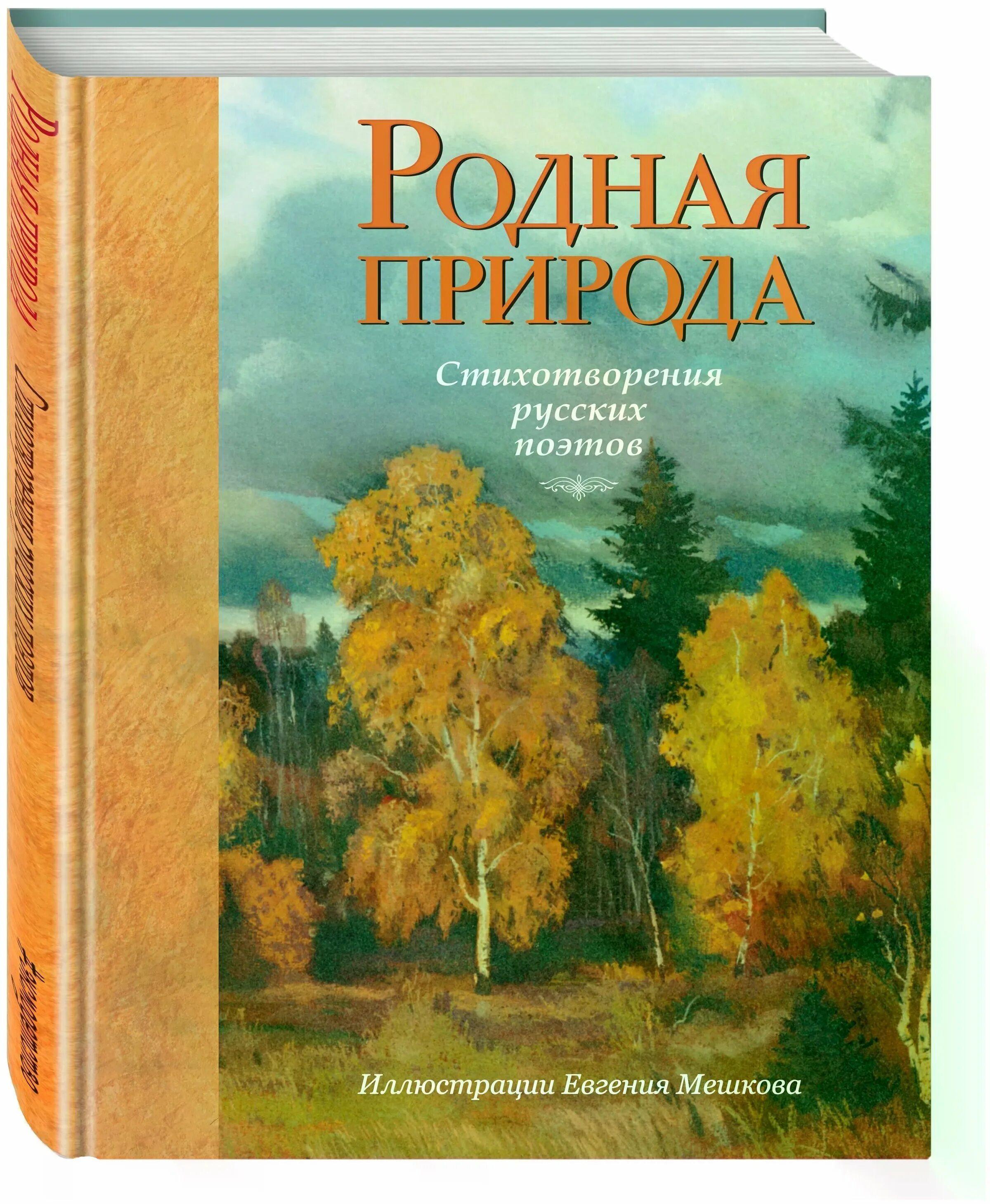 Русский в стихах книги