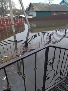 Паводок брянск 2024 последние новости на сегодня