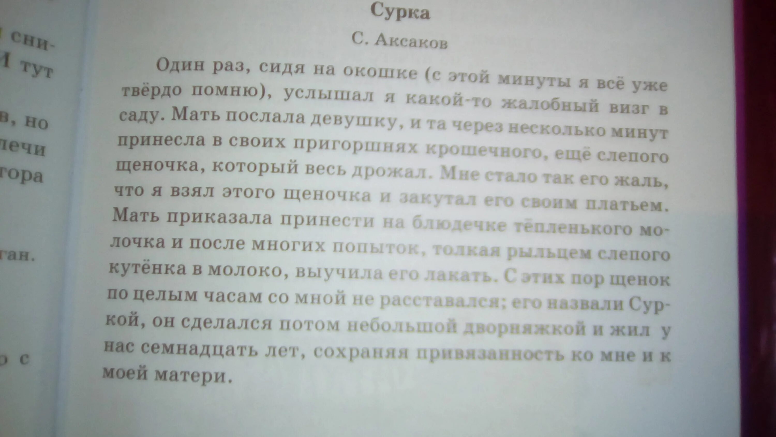 Слава написал сочинение стеллаж. Аксаков сурка иллюстрации рассказ. Изложение щенок сурка.