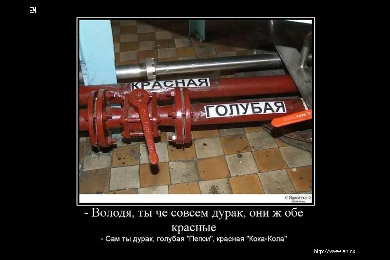 Сайт всегда ест