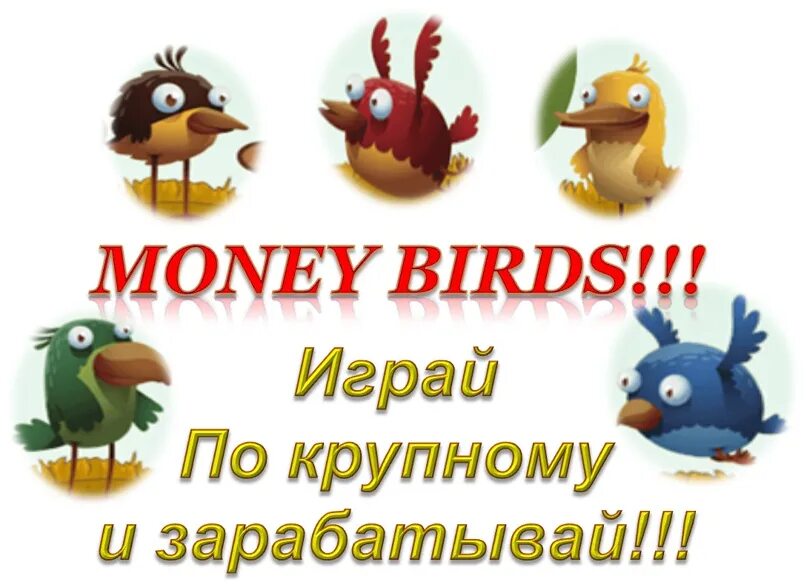 Птички игра с выводом. Money Birds. Money Birds заработок. Птица заработок денег. Игра денежные птички.