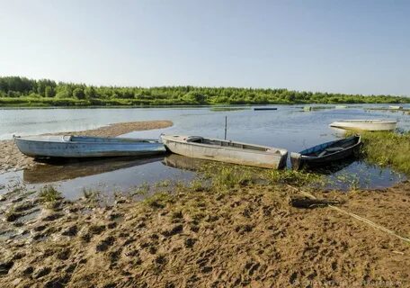 Архангельск берег реки