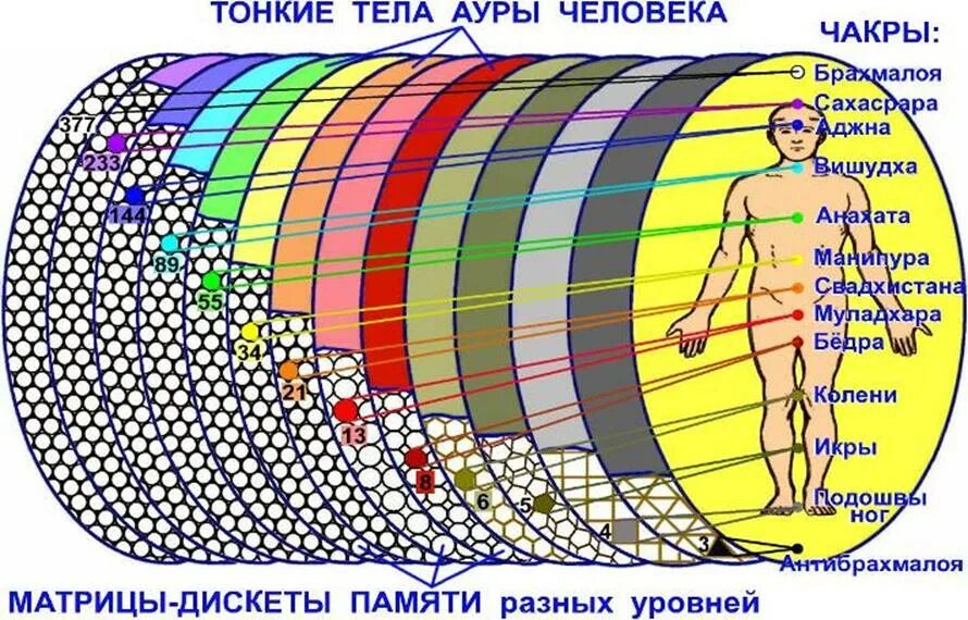 Земля как тело человека. Энергетические центры человека тонкие тела и физическое тело. Биополе человека Аура уровни. Чакры энергетические центры тонких тел. Строение тонких тел человека.